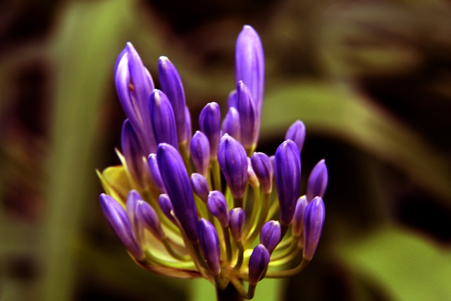 造一个与众 造一个与众