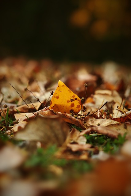 前巴薩邊鋒阿費萊因受到傷病困擾宣布退役.