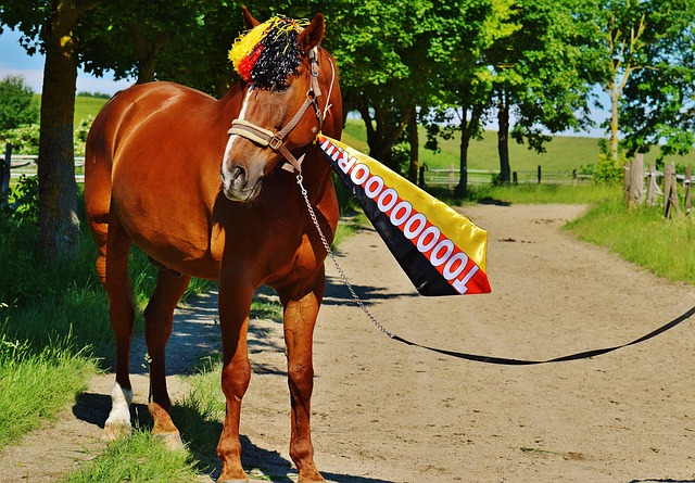 亨德利认为墨菲是世界前三强，斯诺克成就势必继续提升.
