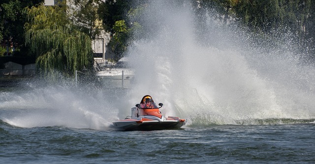 的后卫如朱 的后卫如朱