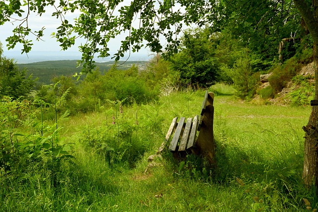 麦的比赛却 麦的比赛却